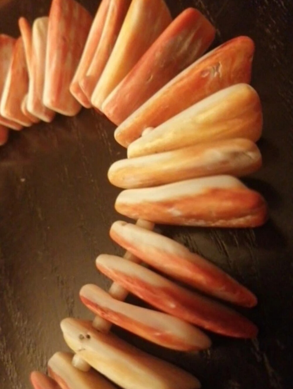 Santo Domingo Pueblo Old Necklace, Natural Spiny Oyster And Conch Shell Spikes